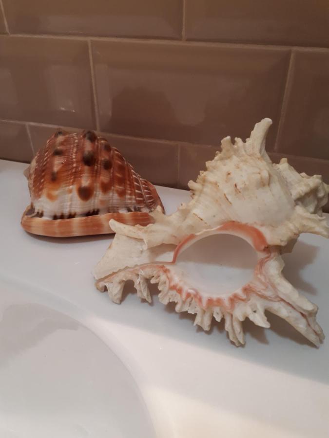 Comoda Posizione, Per 5-Terre, Portovenere, Lerici La Spezia Luaran gambar